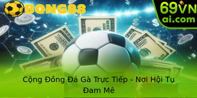 Cộng Đồng Đá Gà Trực Tiếp - Nơi Hội Tụ Đam Mê Cộng Đồng Đá Gà Trực Tiếp - Nơi Hội Tụ Đam Mê