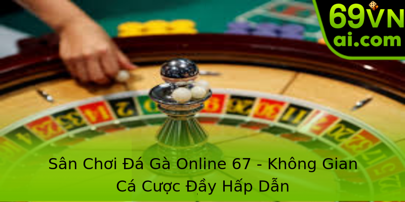 Sân Chơi Đá Gà Online 67 - Không Gian Cá Cược Đầy Hấp Dẫn Sân Chơi Đá Gà Online 67 - Không Gian Cá Cược Đầy Hấp Dẫn