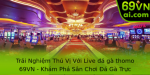Trải Nghiệm Thú Vị Với Live đá gà thomo 69VN - Khám Phá Sân Chơi Đá Gà Trực Tuyến Hàng Đầu 6 Trai Nghiem Thu Vi Voi Live A Ga Thomo 69Vn Kham Pha San Choi A Ga Truc Tuyen Hang Au